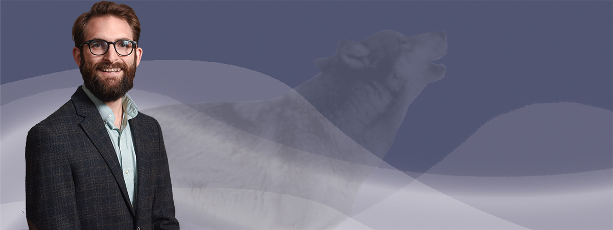 Banner image: news story 2463