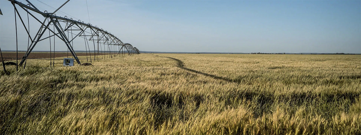 Banner image: news story 2483