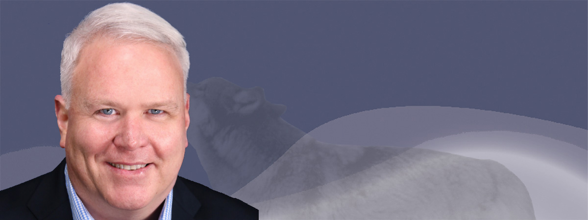 Banner image: news story 2547