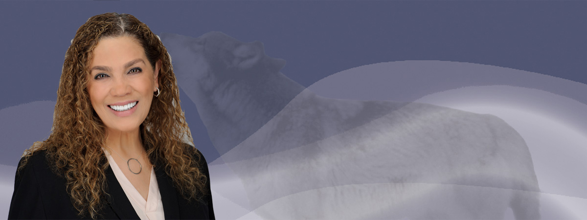 Banner image: news story 2550